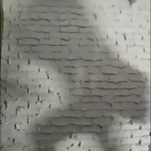 Meet your Posher, Cesar